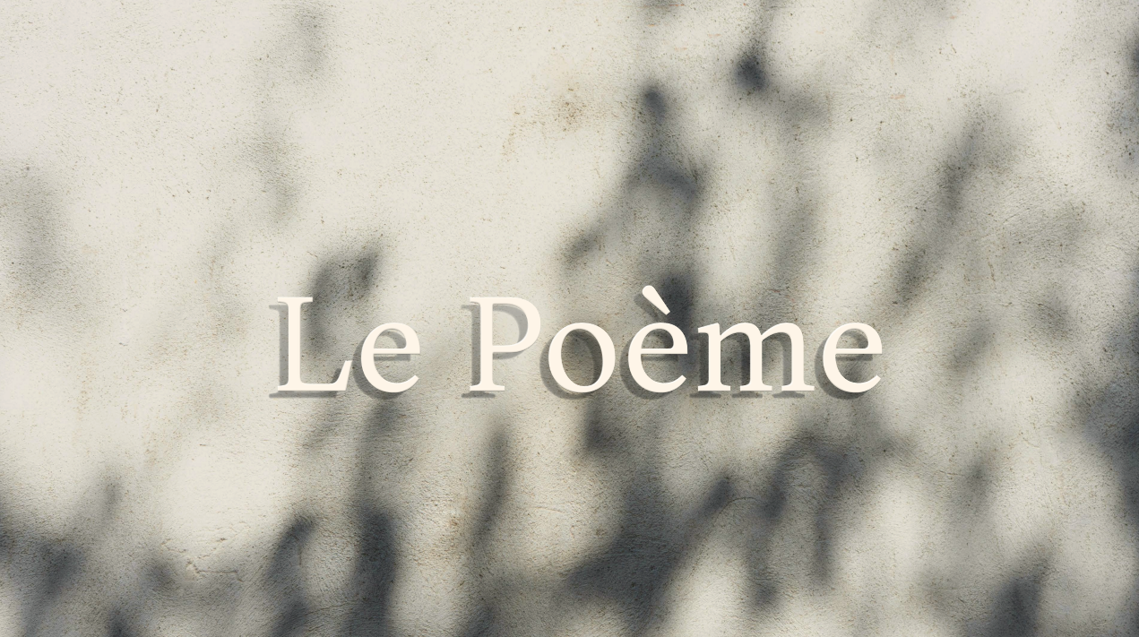 LE POEME - Contemporary Family Homes